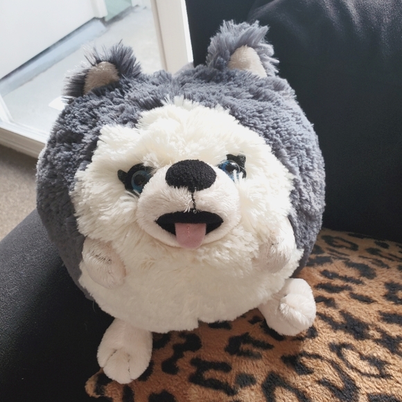 squishable husky